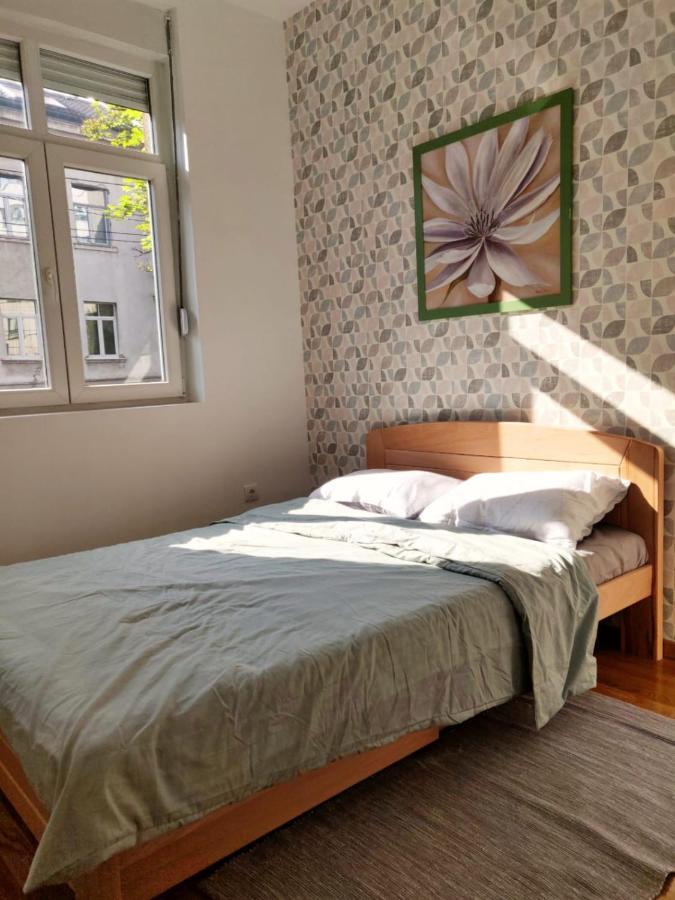 Lux Center Of Belgrade 2 Bedrooms, Sleeps 6 - Free Parking Esterno foto