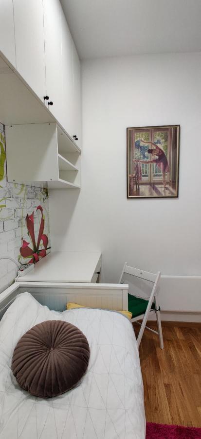 Lux Center Of Belgrade 2 Bedrooms, Sleeps 6 - Free Parking Esterno foto